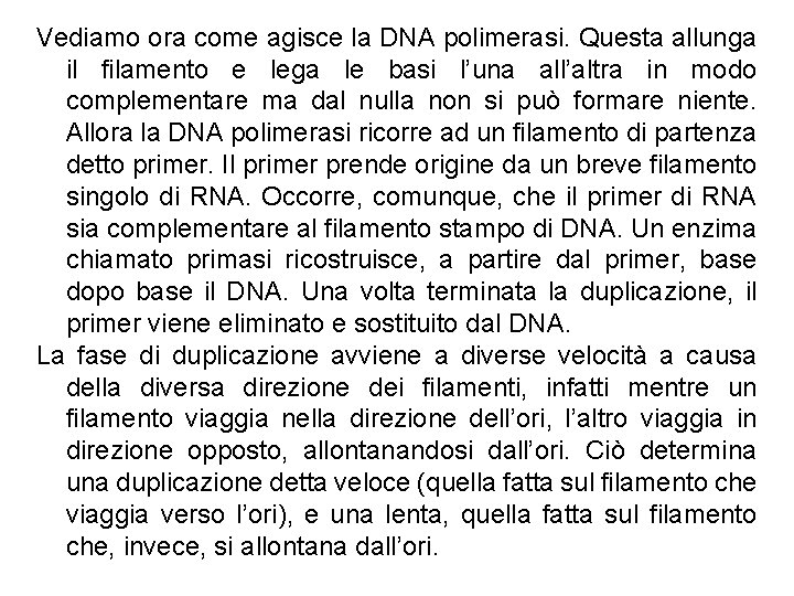 Vediamo ora come agisce la DNA polimerasi. Questa allunga il filamento e lega le