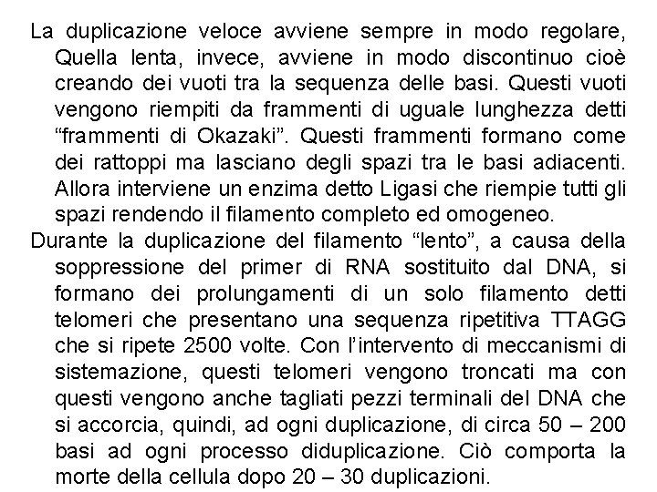 La duplicazione veloce avviene sempre in modo regolare, Quella lenta, invece, avviene in modo