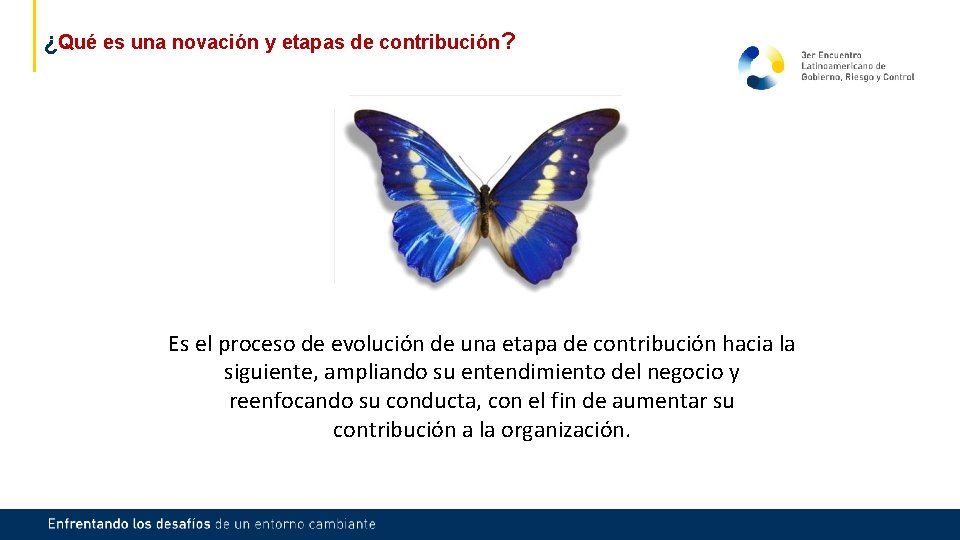 ¿Qué es una novación y etapas de contribución? Es el proceso de evolución de