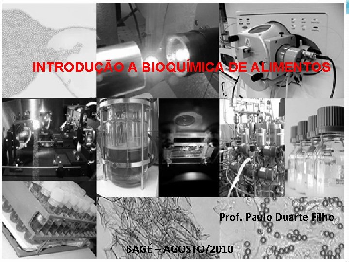 INTRODUÇÃO A BIOQUÍMICA DE ALIMENTOS Prof. Paulo Duarte Filho BAGÉ – AGOSTO/2010 