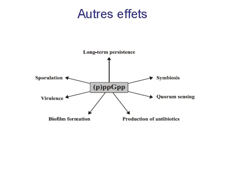 Autres effets 