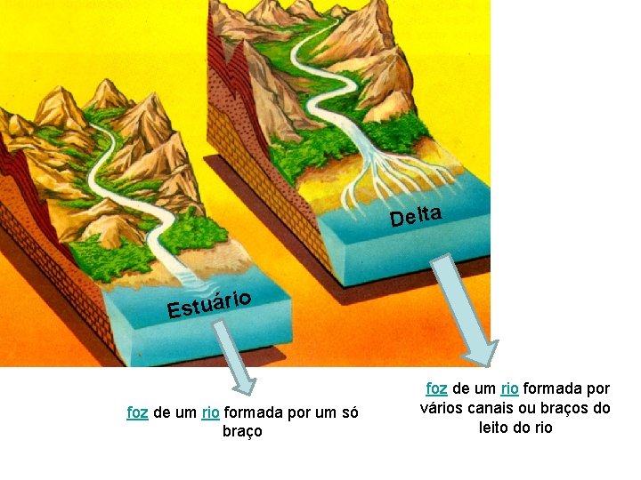 CRISTA OU INTERFLVIO Foz nascente Constituio de um