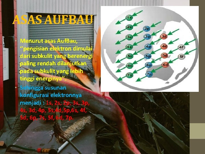 ASAS AUFBAU • Menurut asas Auf. Bau, ‘’pengisian elektron dimulai dari subkulit yang berenergi