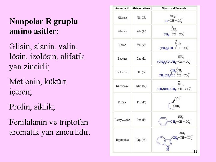 Nonpolar R gruplu amino asitler: Glisin, alanin, valin, lösin, izolösin, alifatik yan zincirli; Metionin,