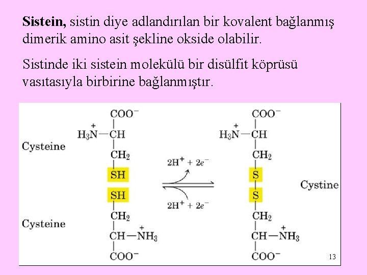 Sistein, sistin diye adlandırılan bir kovalent bağlanmış dimerik amino asit şekline okside olabilir. Sistinde