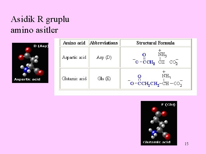 Asidik R gruplu amino asitler 15 