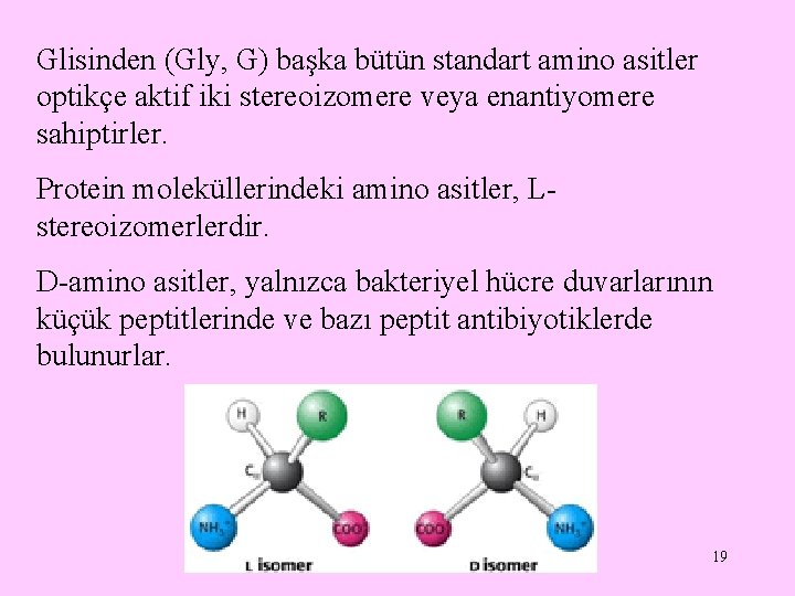 Glisinden (Gly, G) başka bütün standart amino asitler optikçe aktif iki stereoizomere veya enantiyomere