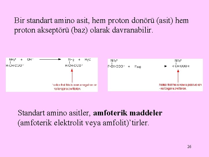 Bir standart amino asit, hem proton donörü (asit) hem proton akseptörü (baz) olarak davranabilir.