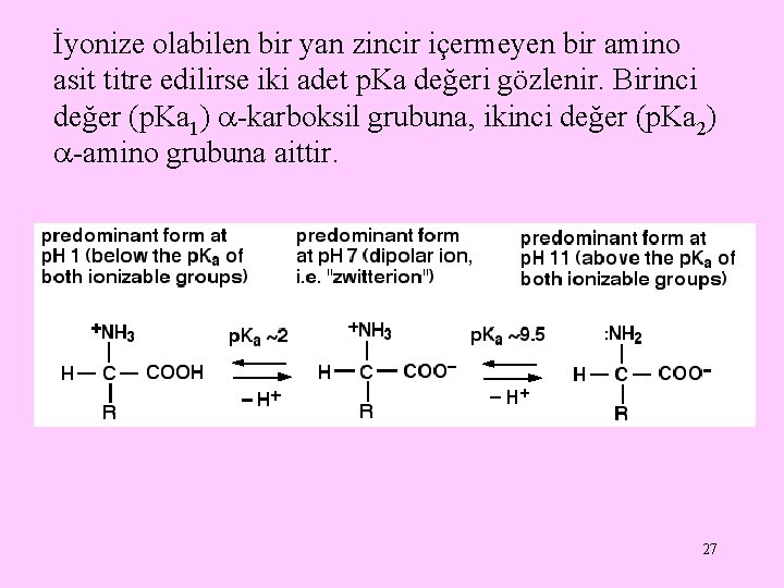 İyonize olabilen bir yan zincir içermeyen bir amino asit titre edilirse iki adet p.