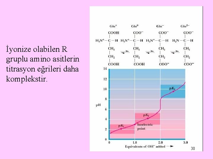 İyonize olabilen R gruplu amino asitlerin titrasyon eğrileri daha komplekstir. 30 