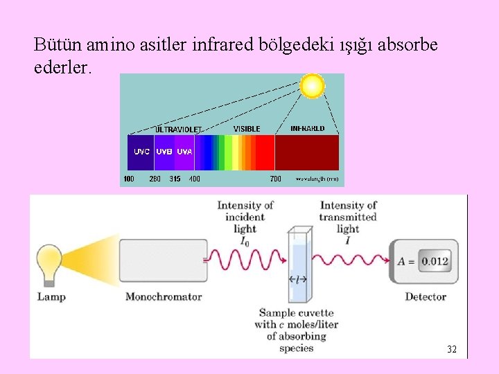 Bütün amino asitler infrared bölgedeki ışığı absorbe ederler. 32 