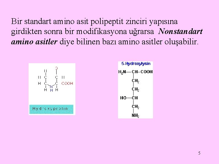 Bir standart amino asit polipeptit zinciri yapısına girdikten sonra bir modifikasyona uğrarsa Nonstandart amino