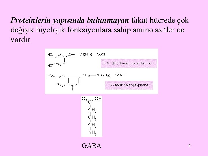 Proteinlerin yapısında bulunmayan fakat hücrede çok değişik biyolojik fonksiyonlara sahip amino asitler de vardır.