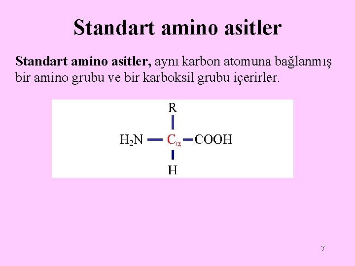 Standart amino asitler, aynı karbon atomuna bağlanmış bir amino grubu ve bir karboksil grubu