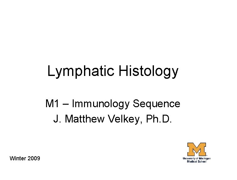 Lymphatic Histology M 1 – Immunology Sequence J. Matthew Velkey, Ph. D. Winter 2009