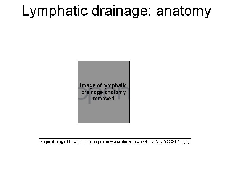 Lymphatic drainage: anatomy Image of lymphatic drainage anatomy removed Original Image: http: //health-tune-ups. com/wp-content/uploads/2009/04/cdr