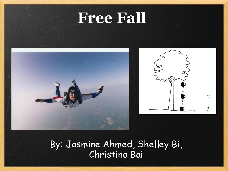 Free Fall By: Jasmine Ahmed, Shelley Bi, Christina Bai 