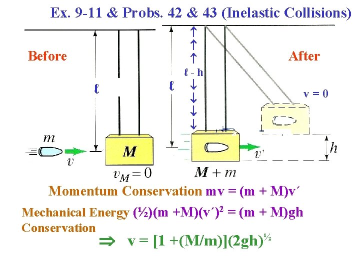 Ex. 9 -11 & Probs. 42 & 43 (Inelastic Collisions) Before ℓ ℓ ℓ-h