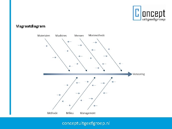 Visgraatdiagram conceptuitgeefgroep. nl Visgraatdiagram conceptuitgeefgroep. nl