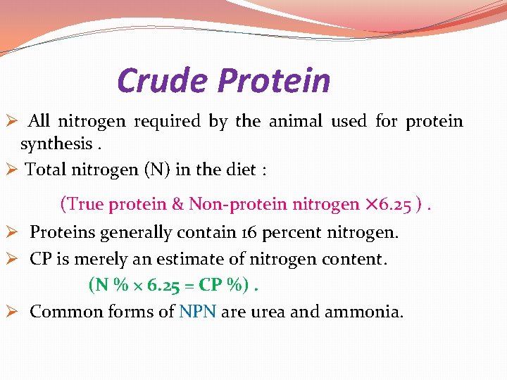 Crude Protein Ø All nitrogen required by the animal used for protein synthesis. Ø