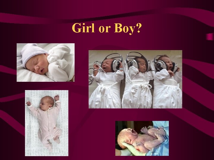 Girl or Boy? 