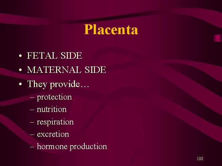 Placenta • FETAL SIDE • MATERNAL SIDE • They provide… – protection – nutrition