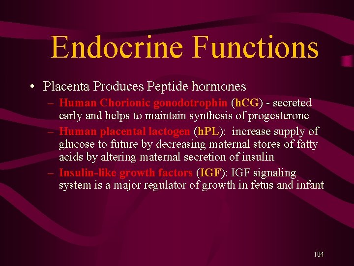  Endocrine Functions • Placenta Produces Peptide hormones – Human Chorionic gonodotrophin (h. CG)