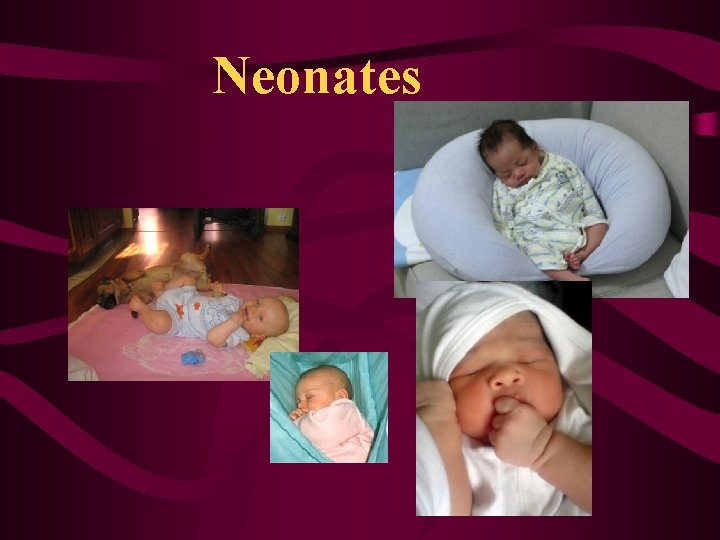 Neonates Neonates