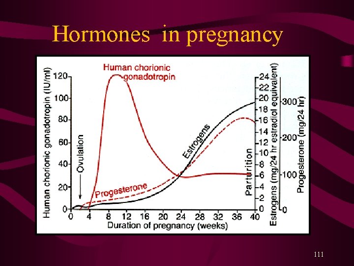  Hormones in pregnancy 111 