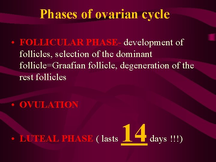 Phases of ovarian cycle • FOLLICULAR PHASE- development of follicles, selection of the dominant