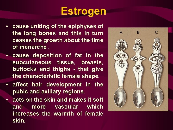 Estrogen • cause uniting of the epiphyses of the long bones and this in