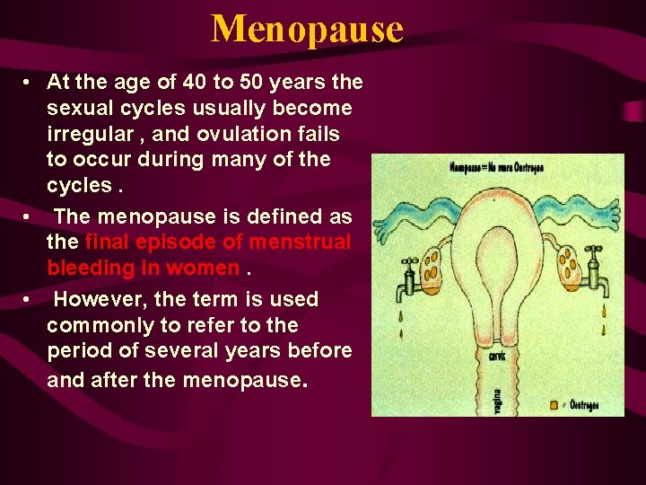 Menopause • At the age of 40 to 50 years the sexual cycles usually