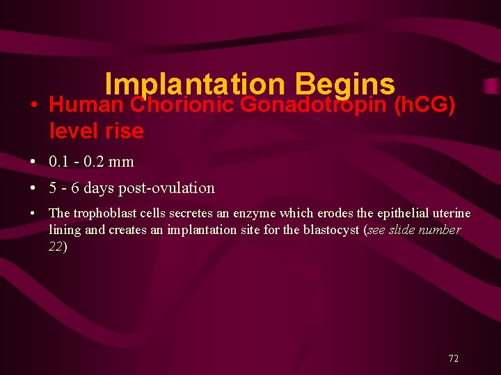 Implantation Begins • Human Chorionic Gonadotropin (h. CG) level rise • 0. 1 - Implantation Begins • Human Chorionic Gonadotropin (h. CG) level rise • 0. 1 -