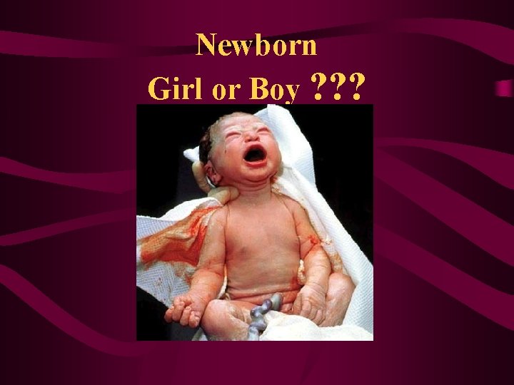 Newborn Girl or Boy ? ? ? 