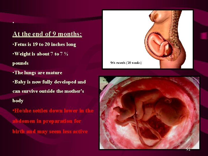  • At the end of 9 months: • Fetus is 19 to 20