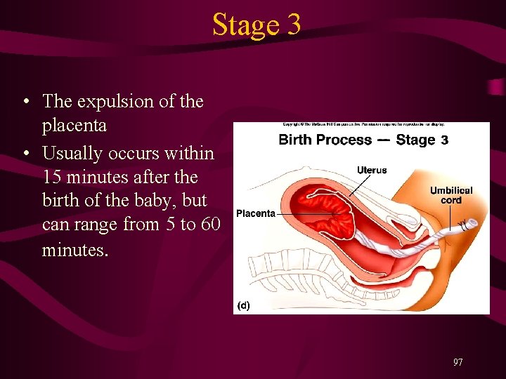 Stage 3 • The expulsion of the placenta • Usually occurs within 15 minutes