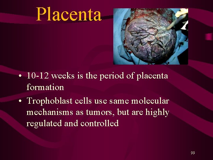  Placenta • 10 -12 weeks is the period of placenta formation • Trophoblast