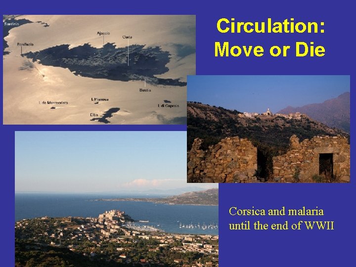 Circulation: Move or Die Corsica and malaria until the end of WWII 