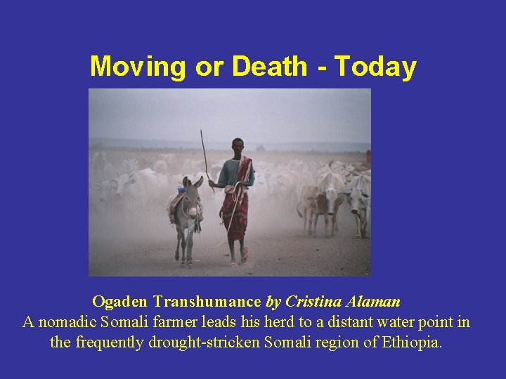 Moving or Death - Today Ogaden Transhumance by Cristina Alaman A nomadic Somali farmer