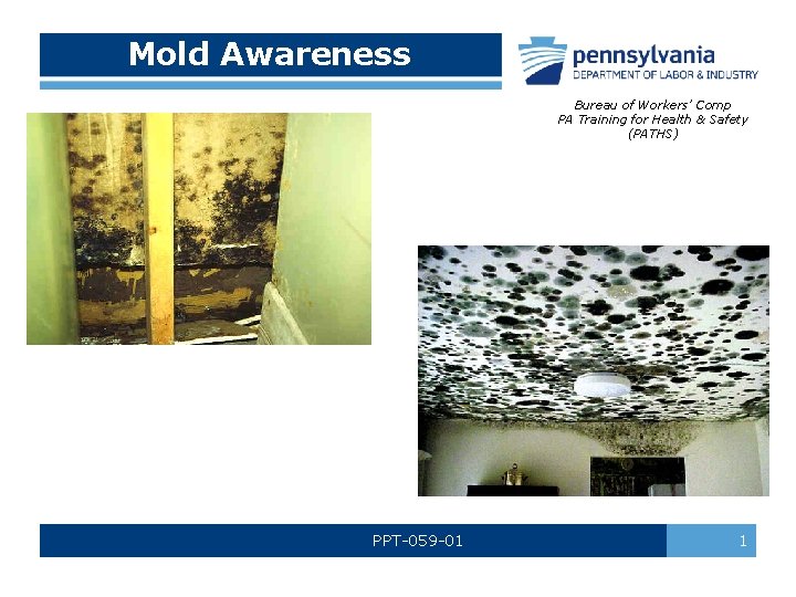 Mold Awareness Bureau of Workers’ Comp PA Training for Health & Safety (PATHS) PPT-059
