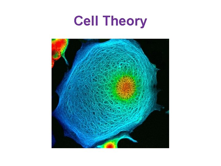 Cell Theory 