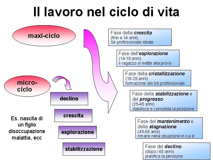 Il lavoro nel ciclo di vita Fase della crescita maxi-ciclo (fino a 14 anni)