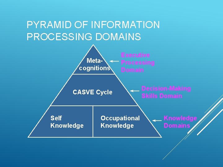 PYRAMID OF INFORMATION PROCESSING DOMAINS Metacognitions Executive Processing Domain CASVE Cycle Self Knowledge Occupational