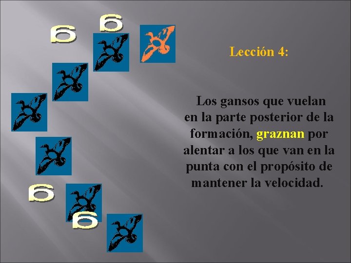 Lección 4: Los gansos que vuelan en la parte posterior de la formación, graznan