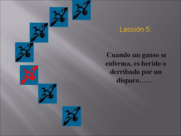Lección 5: Cuando un ganso se enferma, es herido o derribado por un disparo……