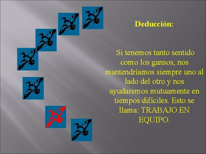 Deducción: Si tenemos tanto sentido como los gansos, nos mantendríamos siempre uno al lado