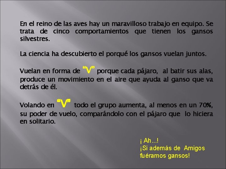 En el reino de las aves hay un maravilloso trabajo en equipo. Se trata