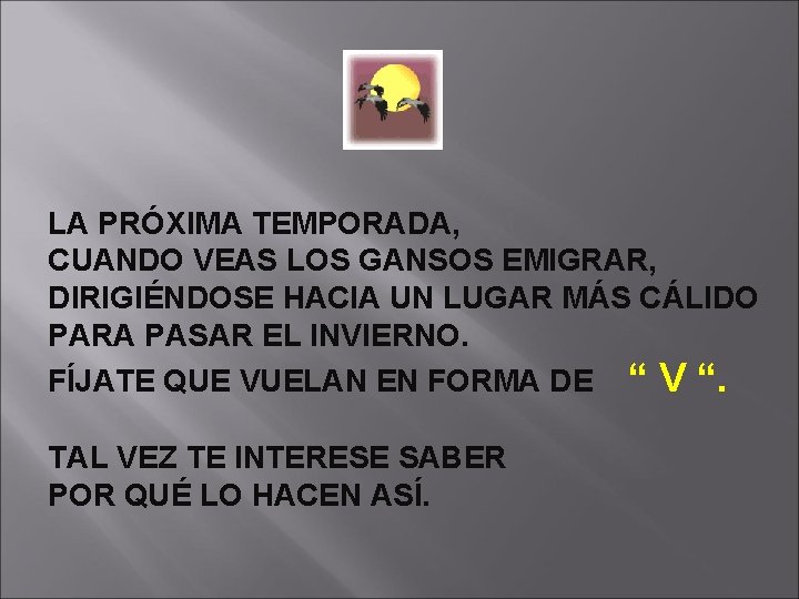 LA PRÓXIMA TEMPORADA, CUANDO VEAS LOS GANSOS EMIGRAR, DIRIGIÉNDOSE HACIA UN LUGAR MÁS CÁLIDO