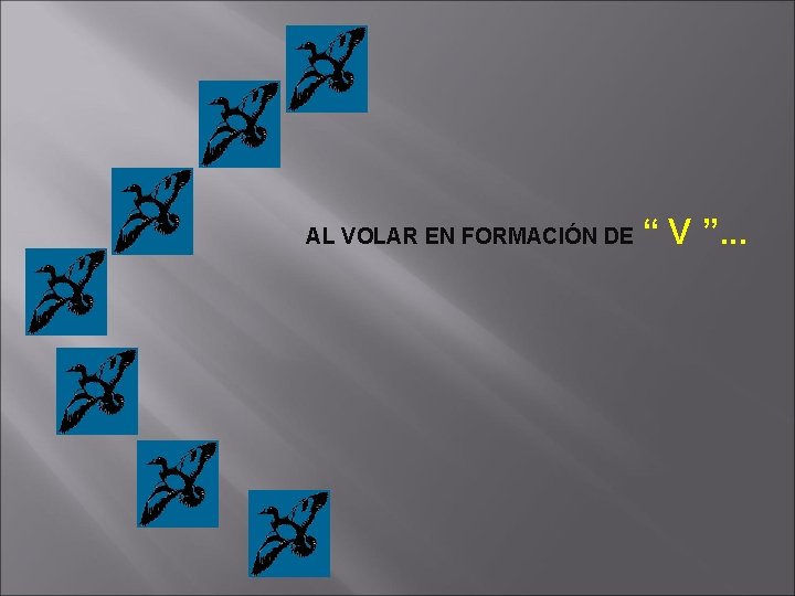 AL VOLAR EN FORMACIÓN DE “ V ”. . . 