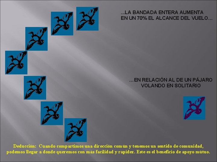 . . . LA BANDADA ENTERA AUMENTA EN UN 70% EL ALCANCE DEL VUELO…